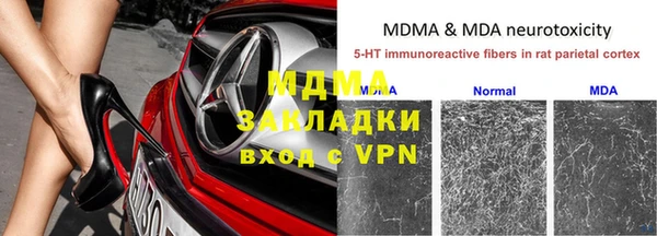 ПСИЛОЦИБИНОВЫЕ ГРИБЫ Алзамай