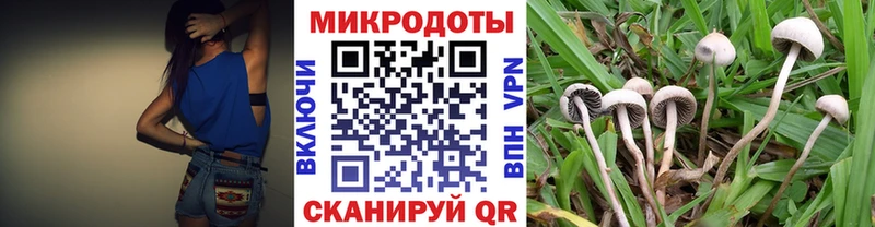 Псилоцибиновые грибы MAGIC MUSHROOMS наркошоп ссылка на мегу ССЫЛКА Лабытнанги
